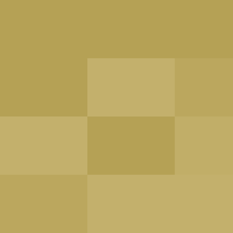 Piedrita17's skin