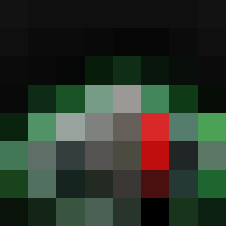 GR1ZZLY180's skin