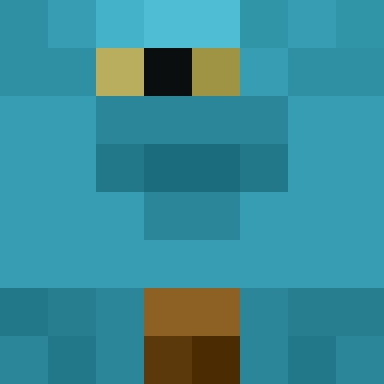 TheCuriousMiner's skin