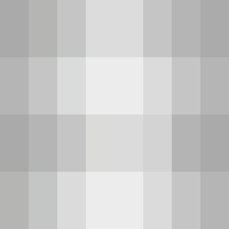 AutoSkin's skin