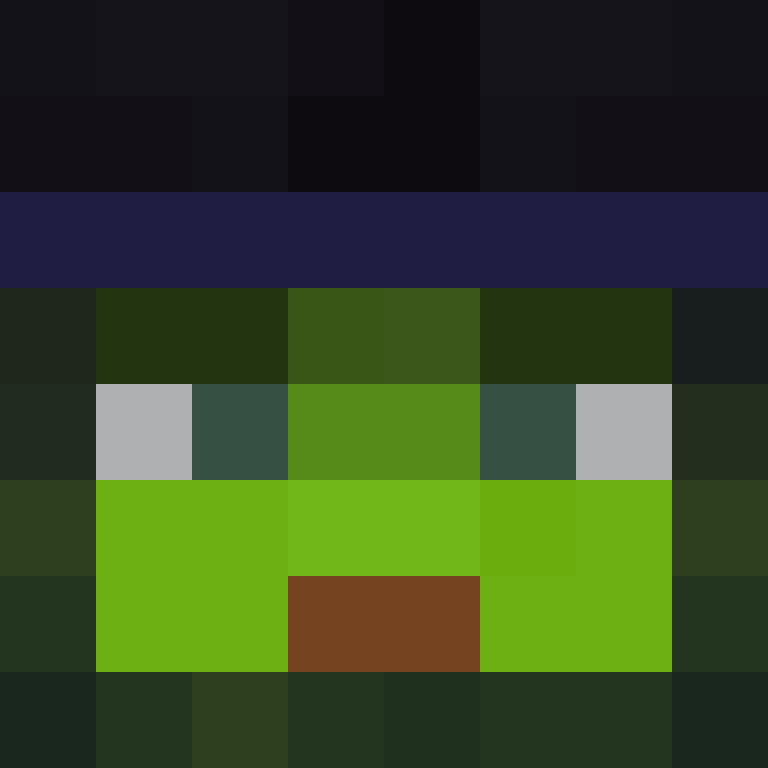 xX_No_Income_Xx's skin