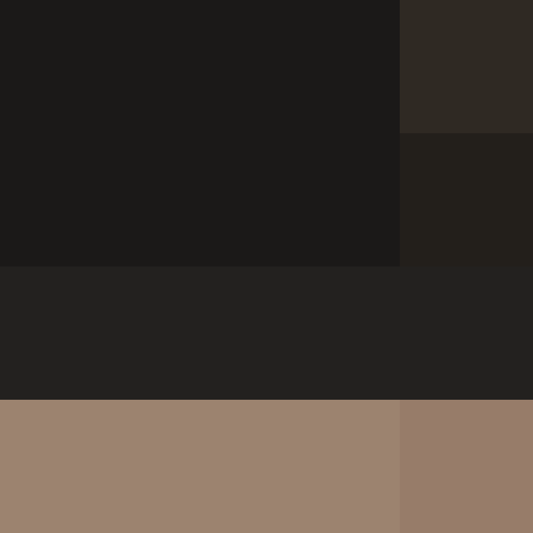 Ryuzln's skin