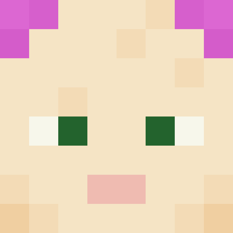 deminecrafterlol's skin