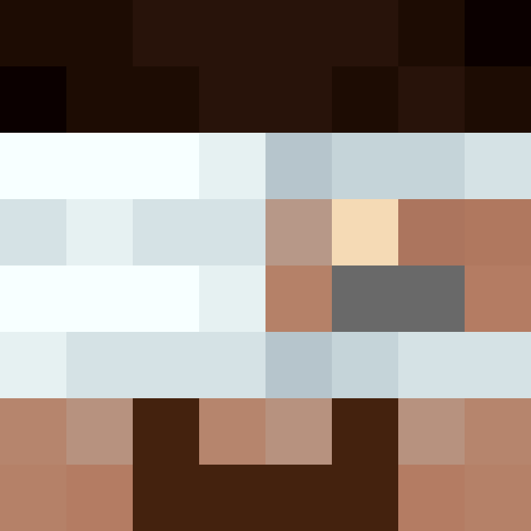 CeilingBird's skin