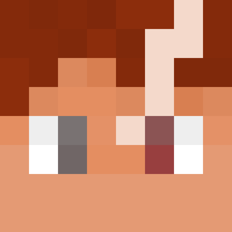 8aca680b22461340's skin