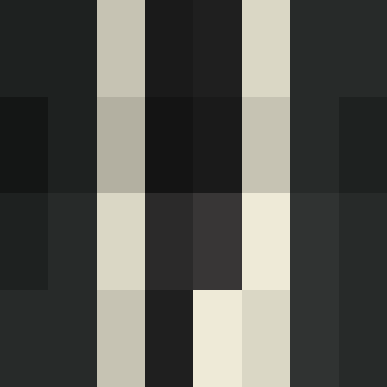 deminecrafterlol's skin