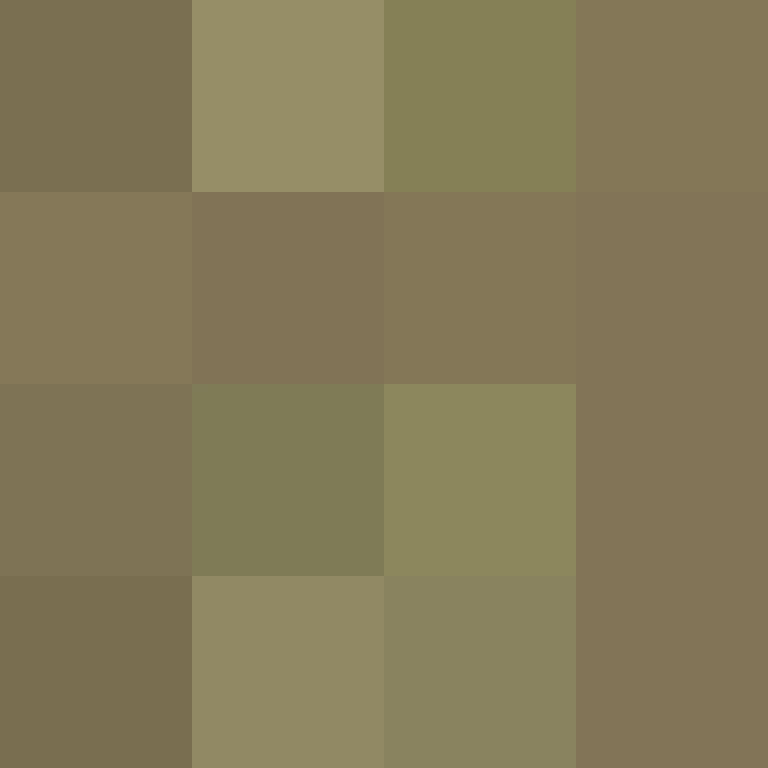 Zoleeey's skin