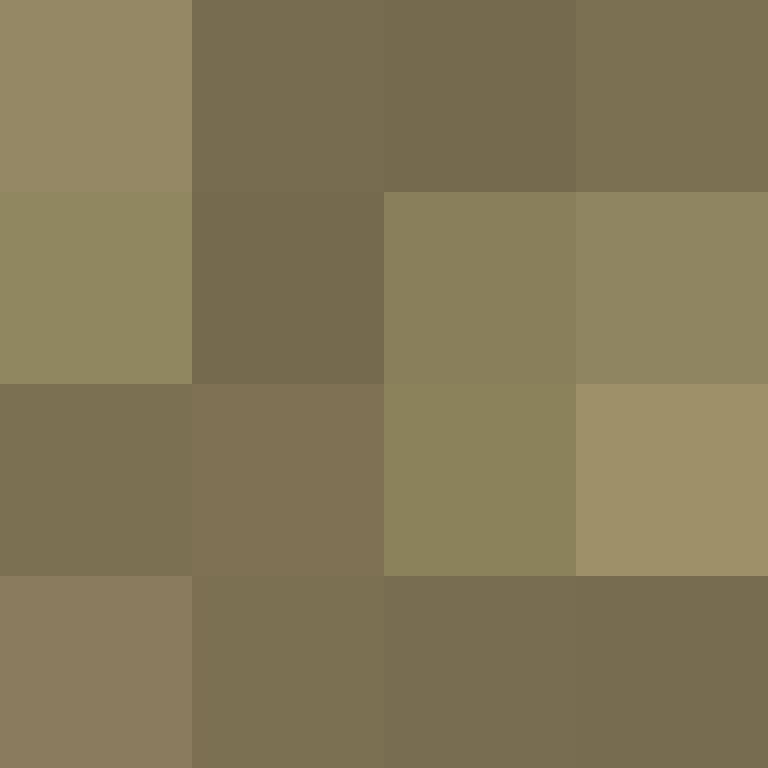 PtakopyskCZ's skin