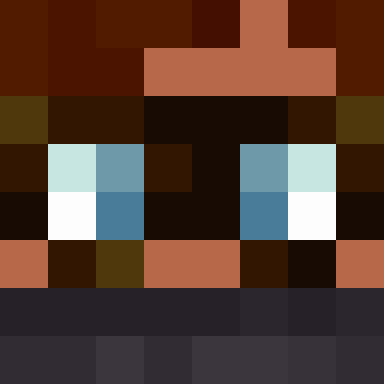 TheCuriousMiner's skin