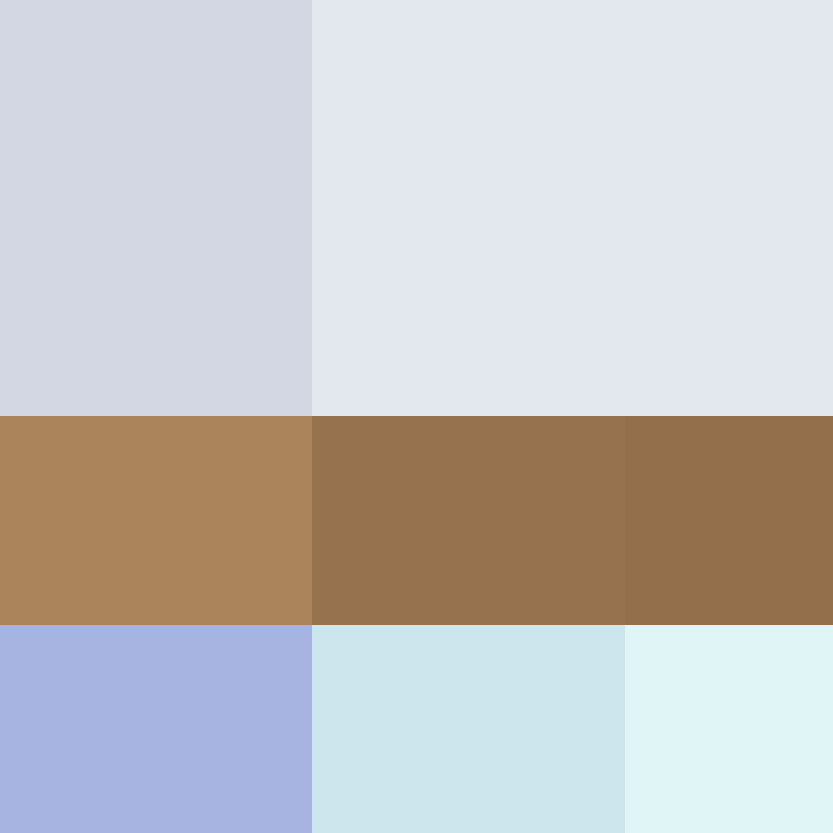 Cartizoll's skin