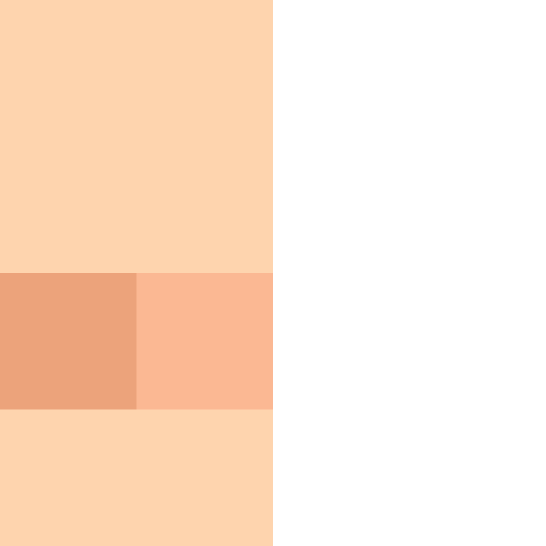 BukkitAPI's skin