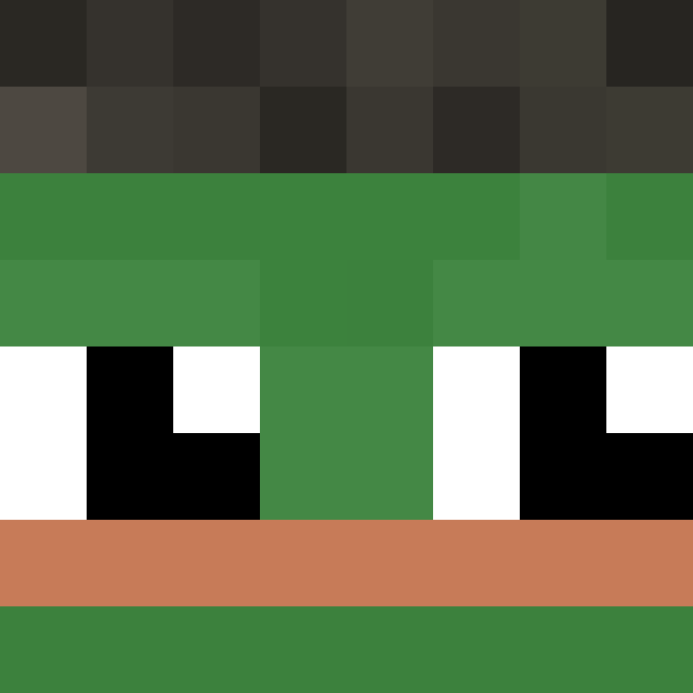 TheCuriousMiner's skin