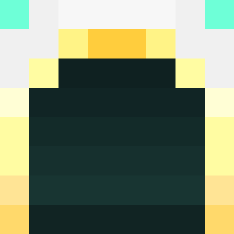 Ichiinn's skin