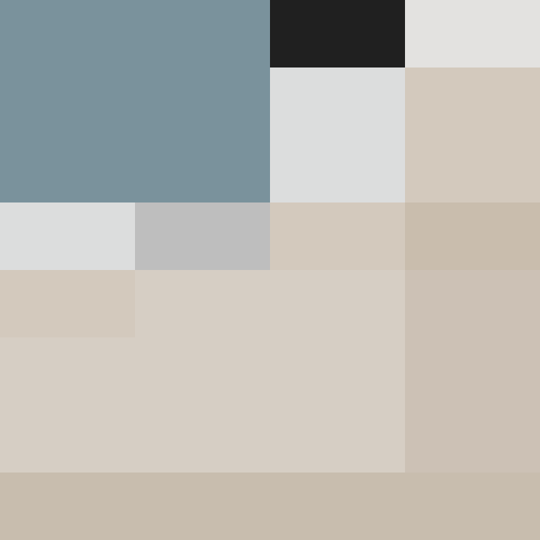 _pakman_'s skin