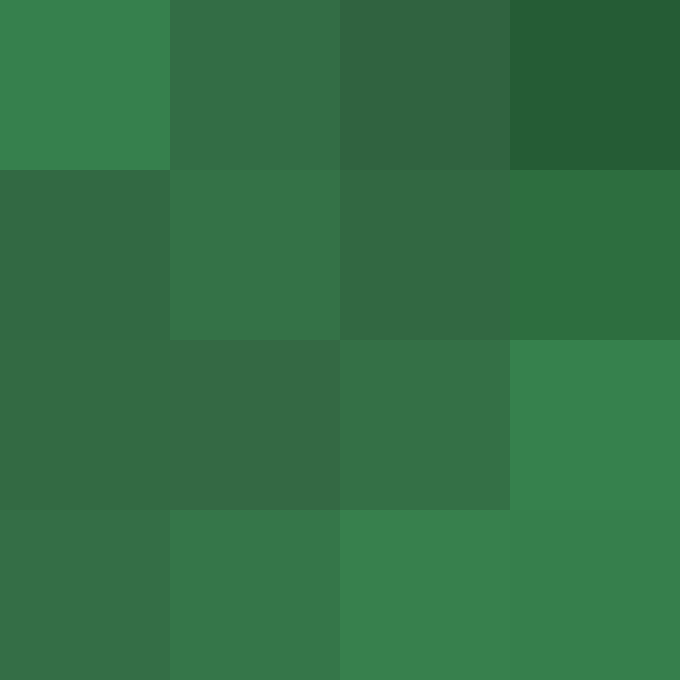 PatatjeMC's skin