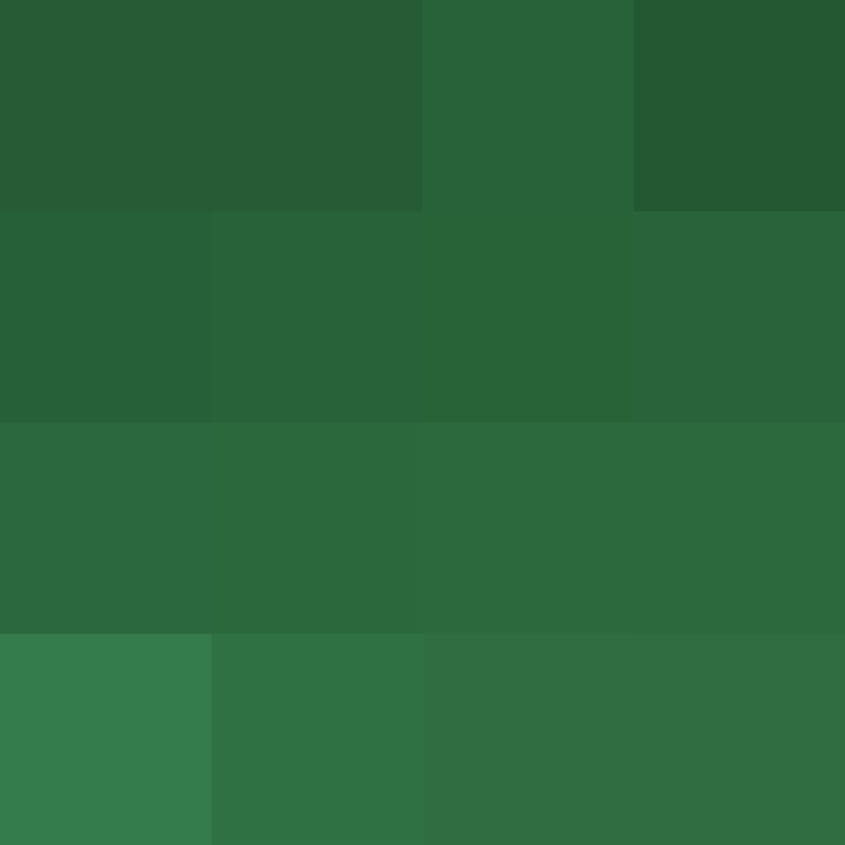 MHF_Mineskin's skin