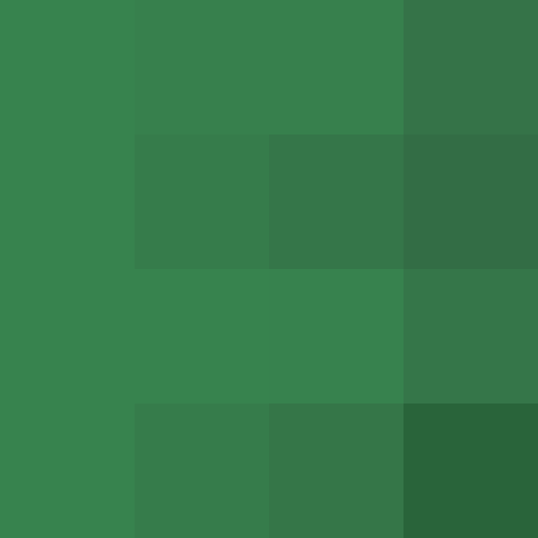 MolesLLC's skin