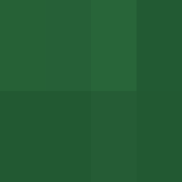 AlexisMadd's skin