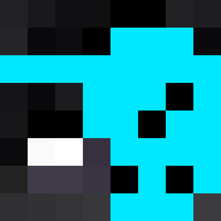 wiredframe's skin