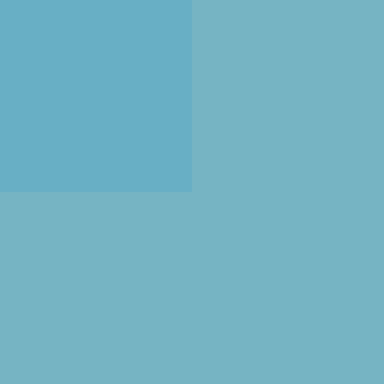 CeilingBird's skin