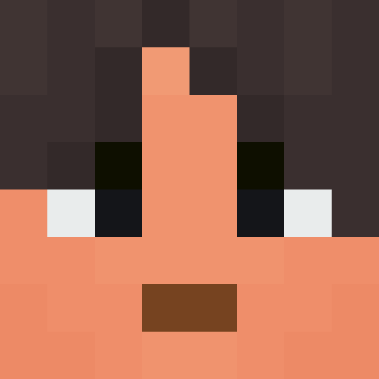 wiredframe's skin