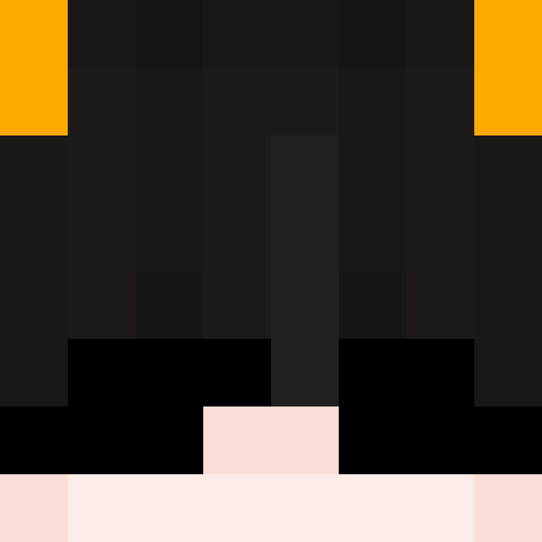 deminecrafterlol's skin