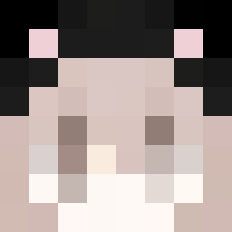 BukkitAPI's skin