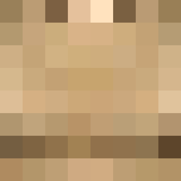 PtakopyskCZ's skin