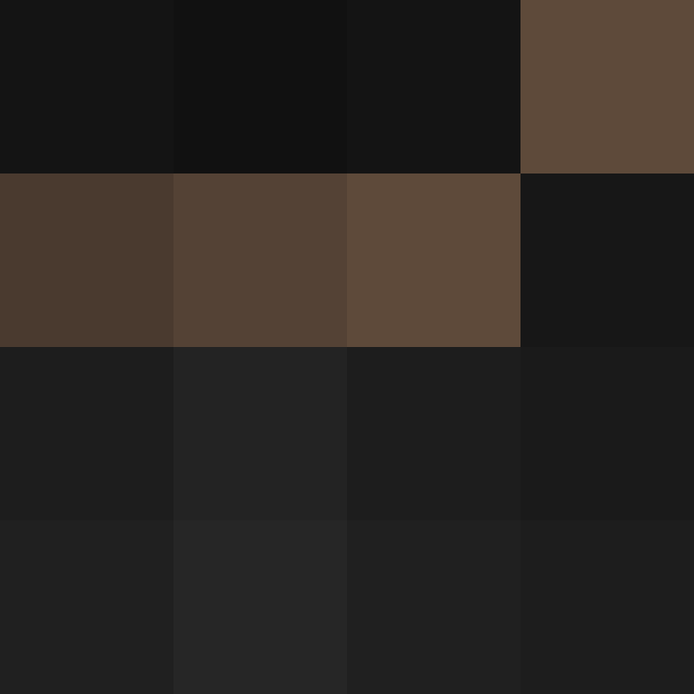 Piedrita17's skin