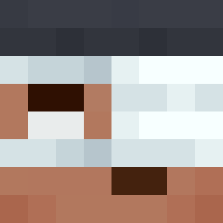 xX_No_Income_Xx's skin