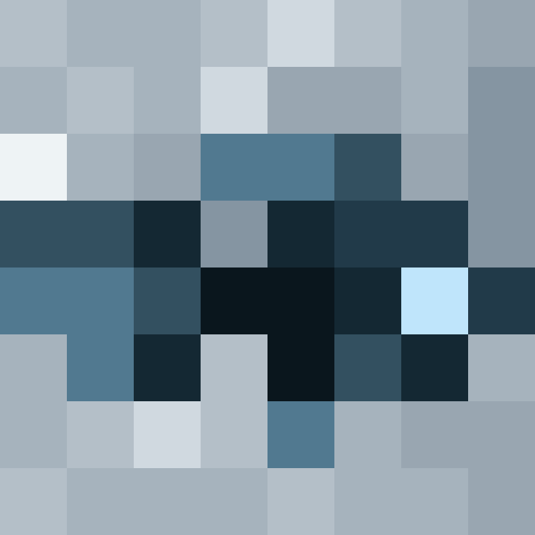 deminecrafterlol's skin