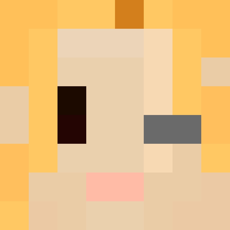 8aca680b22461340's skin