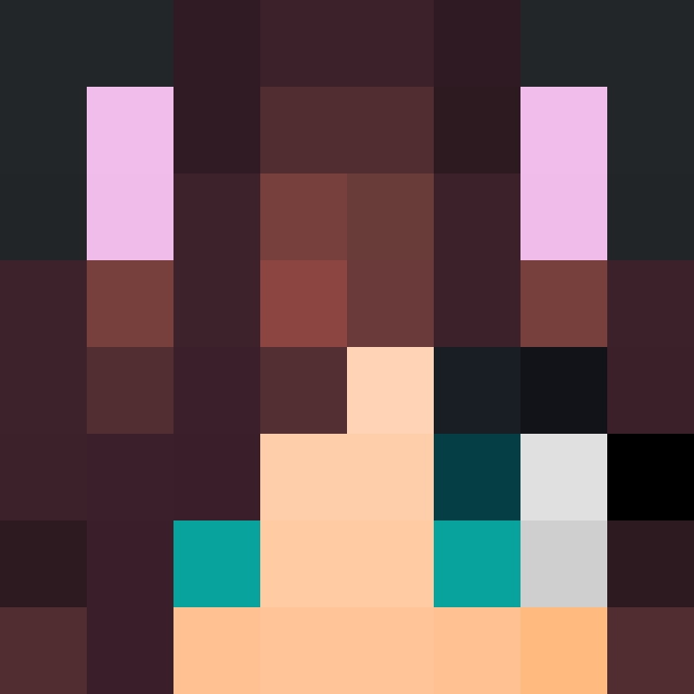 SkinEnthusiast's skin