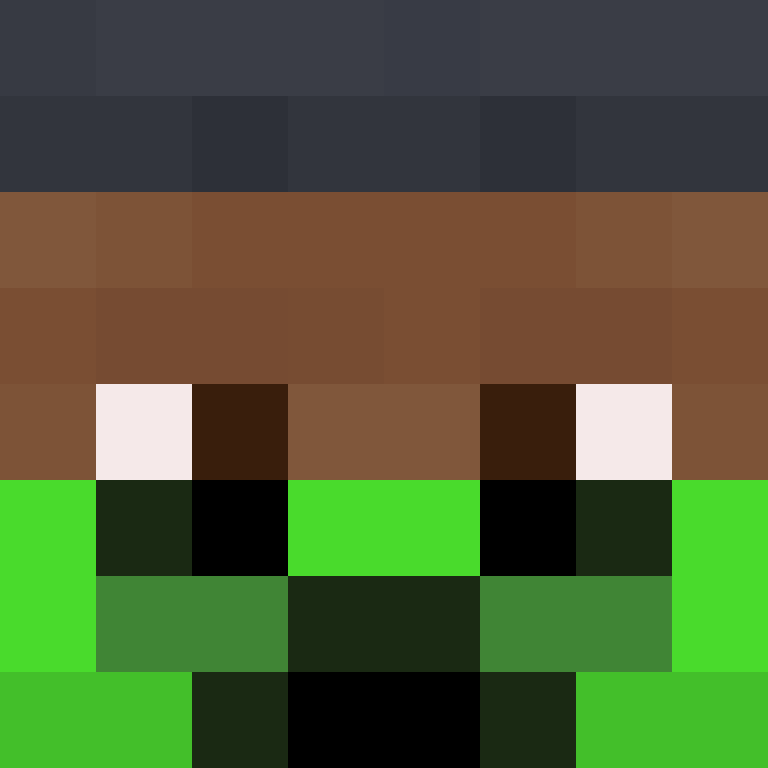 xX_No_Income_Xx's skin