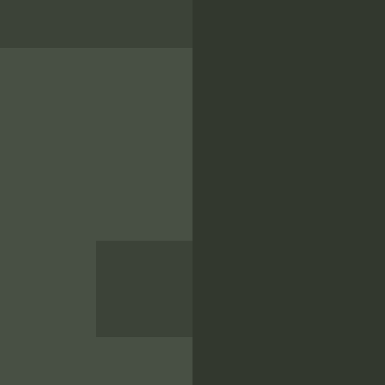 AutoSkin's skin