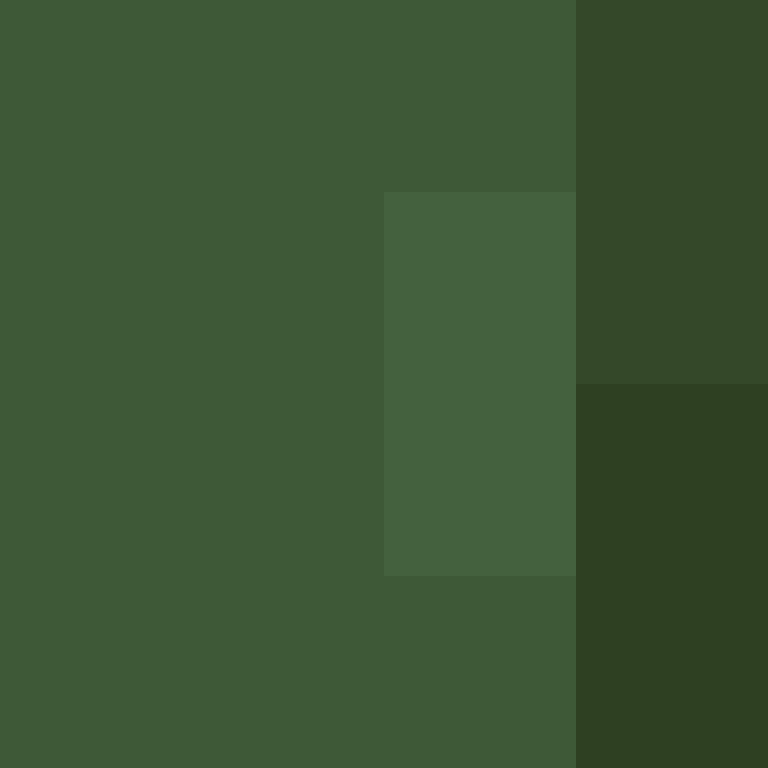TheCuriousMiner's skin