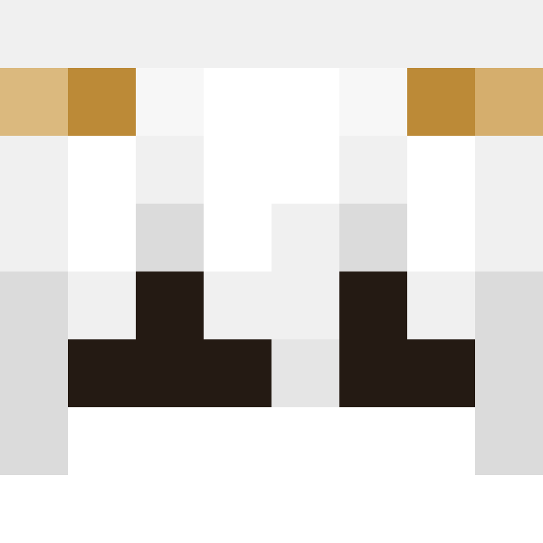 wiredframe's skin