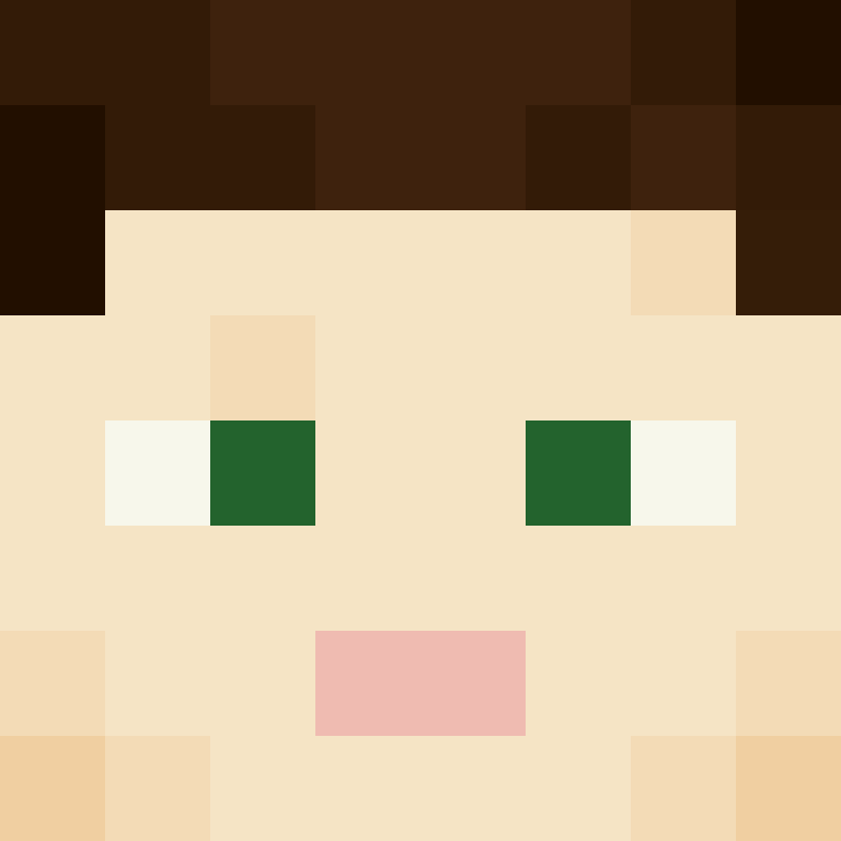 TheCuriousMiner's skin