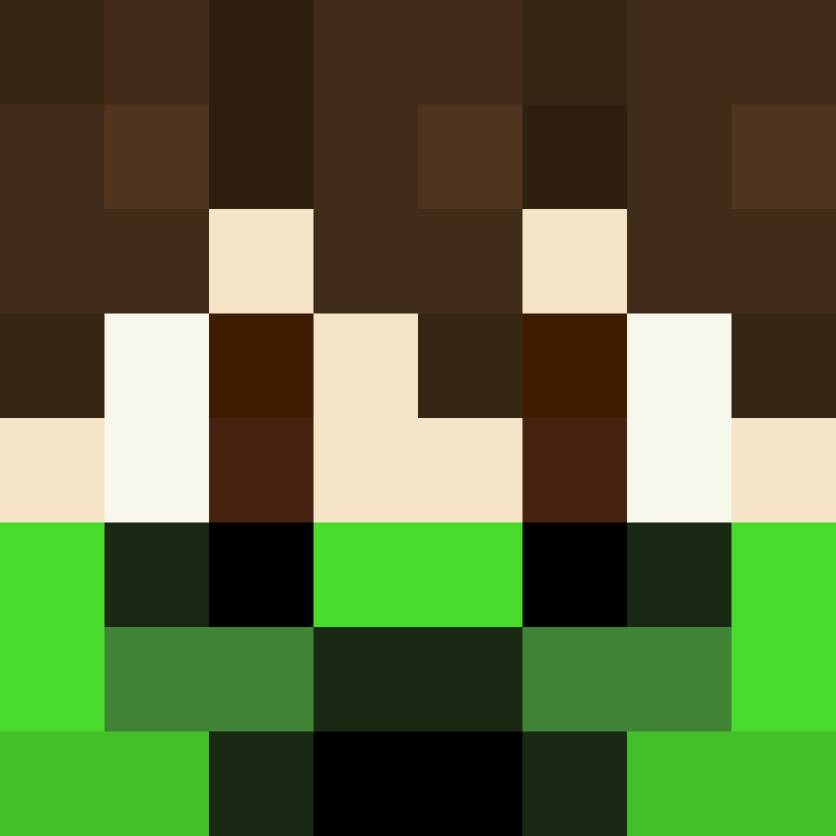 8aca680b22461340's skin