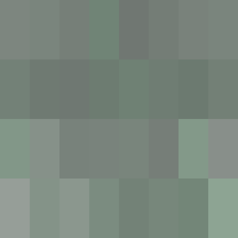ShakaYami's skin
