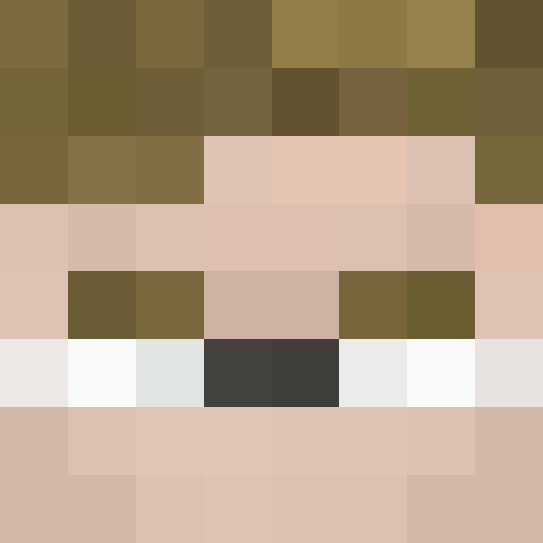 CeilingBird's skin