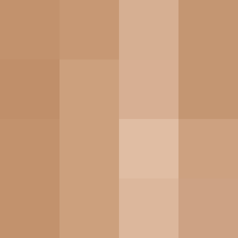 acin5's skin