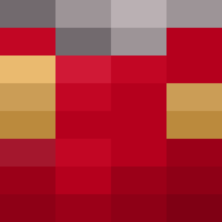 Cartizoll's skin