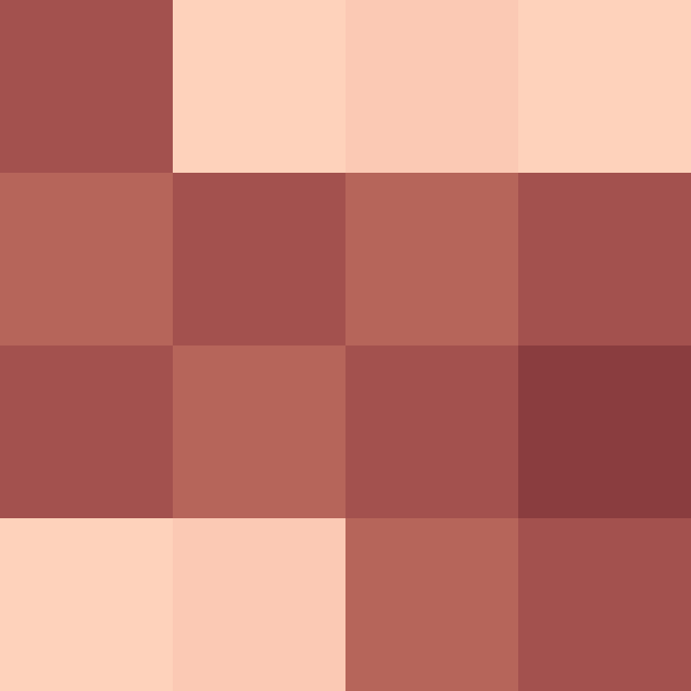 AutoSkin's skin