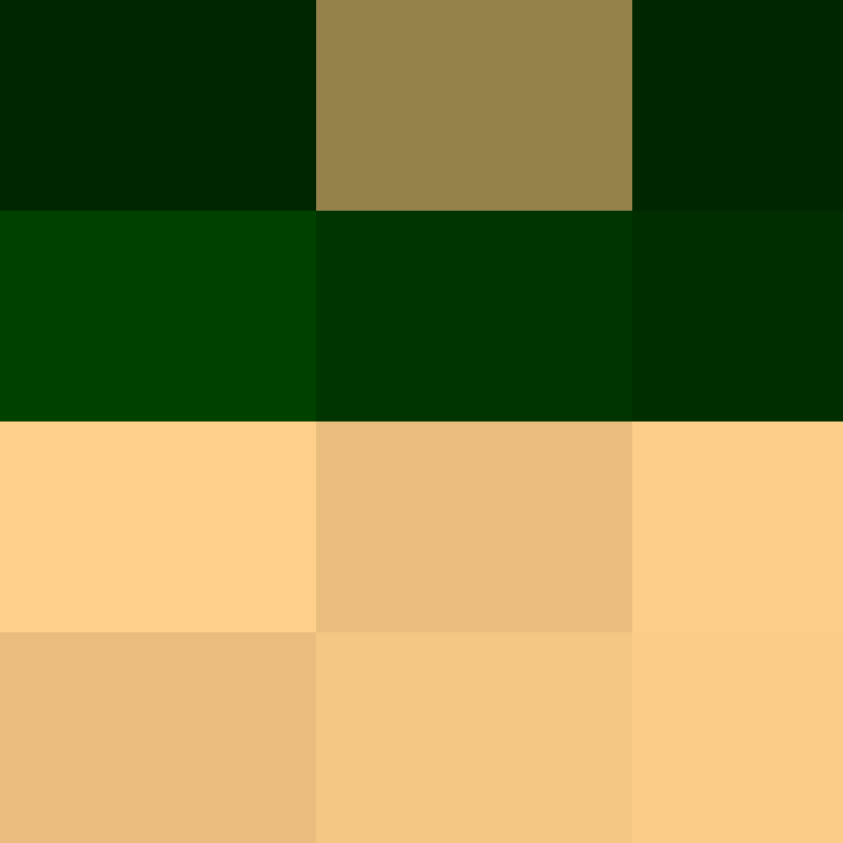Notro_Client's skin
