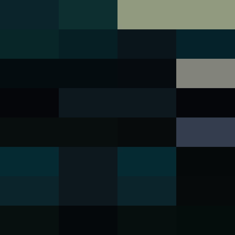 PtakopyskCZ's skin