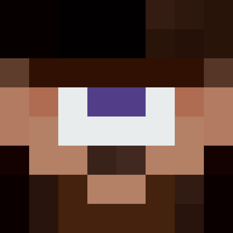 BukkitAPI's skin
