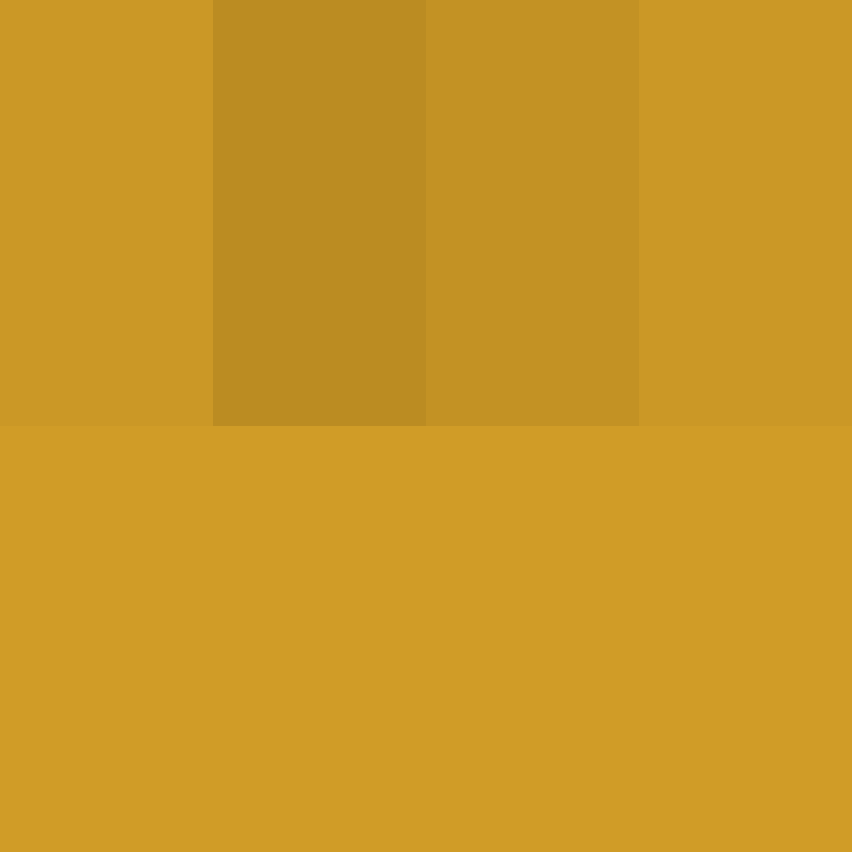 O_Rei's skin