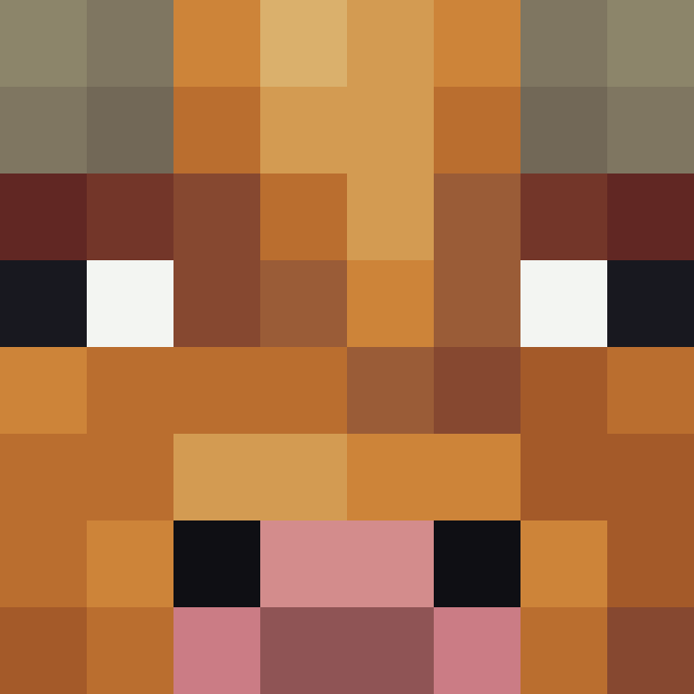 xX_No_Income_Xx's skin