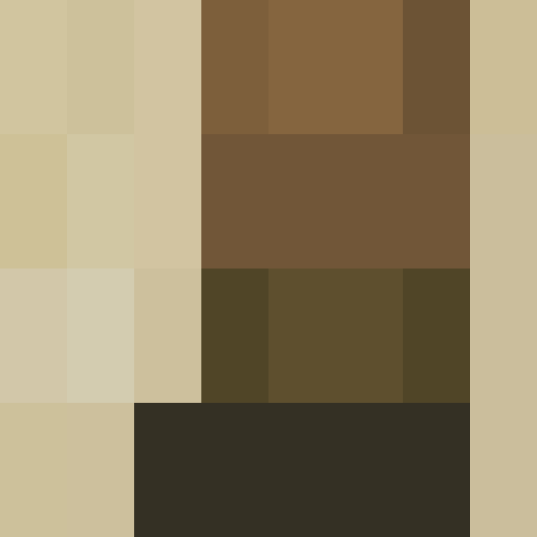 acin5's skin